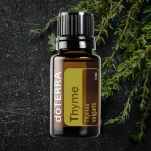 Thymian-Öl (Probe: 1 ml)