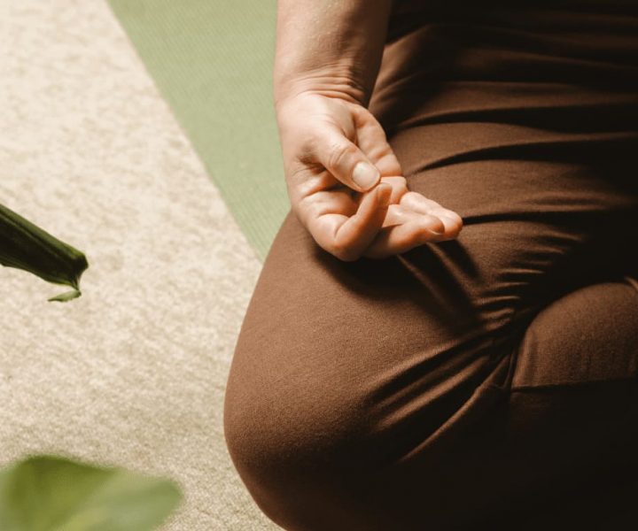 Workshop für Yoga-Anfänger